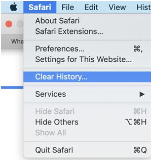 safari browser cache