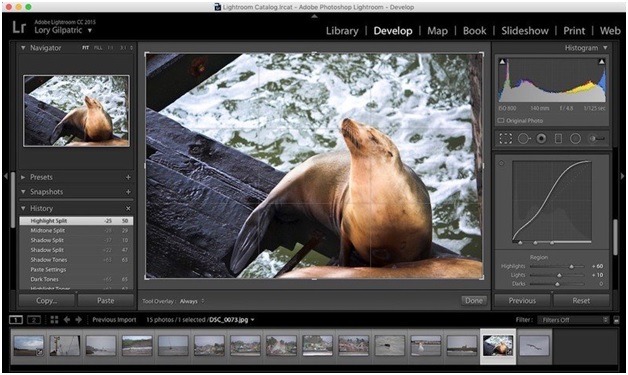 Lightroom For Mac