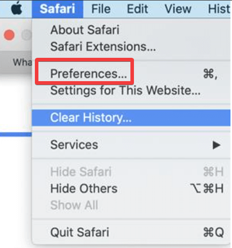 Safari Preference