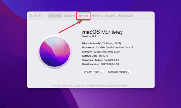 Mac Storage Tab