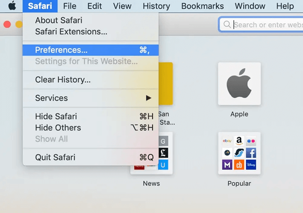 Safari preference