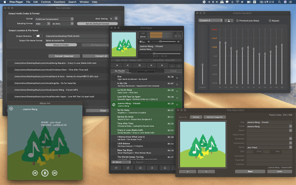 Pine Player - Music Player for mac