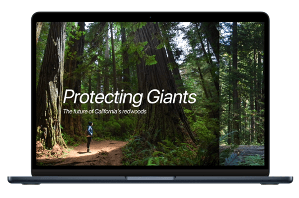 Protecting Giants