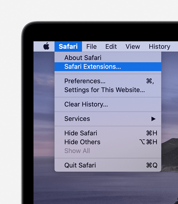 Safari Extension