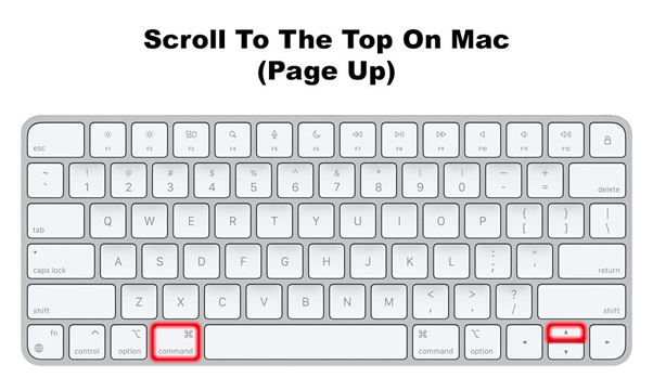 Scroll to the top on mac