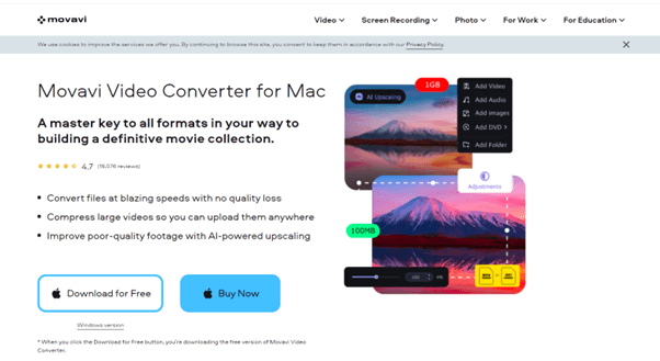 Movavi Video Converter for mac