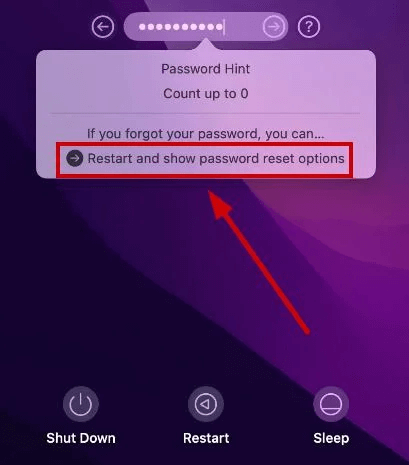 Restart and Show password reset options